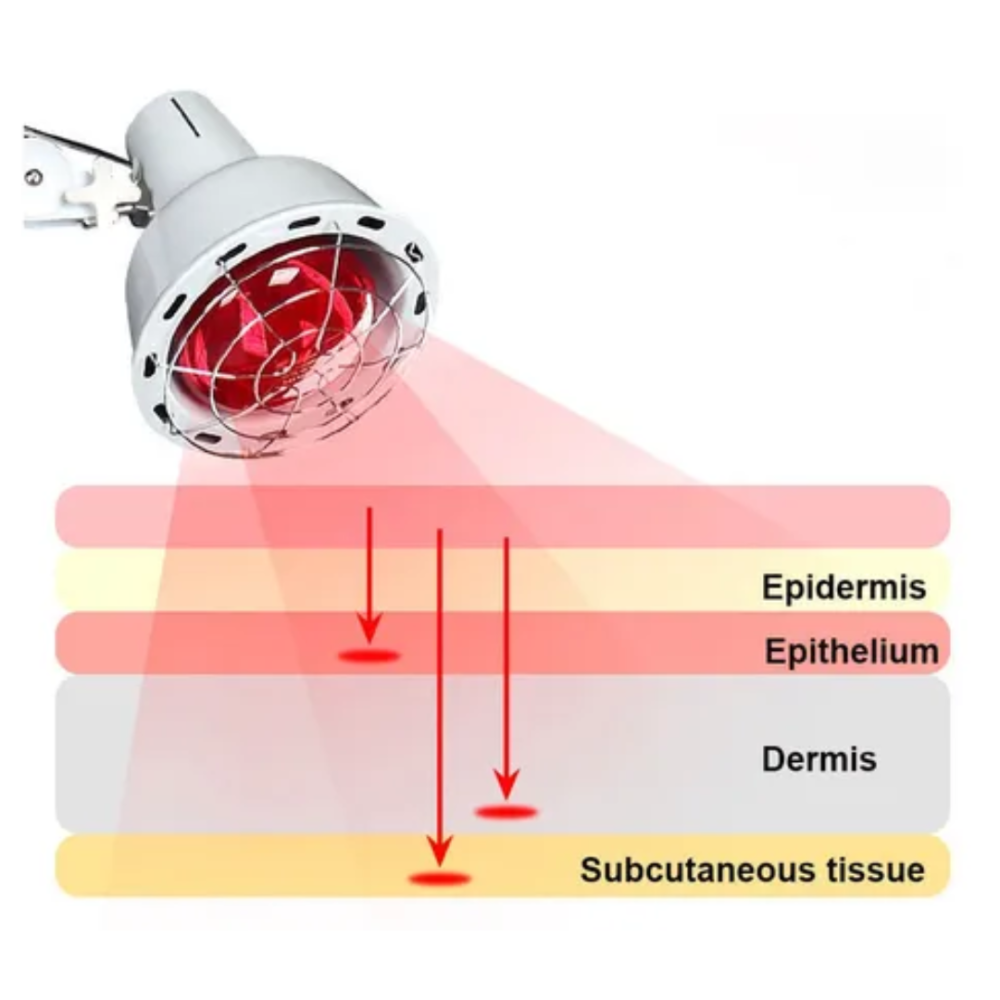 Un aliado perfecto para esos momentos de descanso y autocuidado.