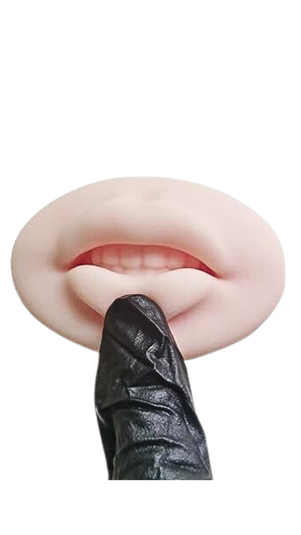 Molde Labios 3D. Practica como si fuera real.